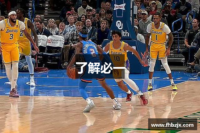 了解必一